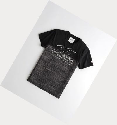 Black Hollister Logo Men's Short Sleeve | ZA-BKZD634