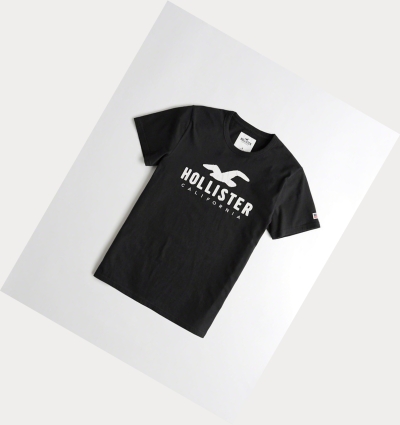 Black Hollister Logo Men's Short Sleeve | ZA-NKSD295