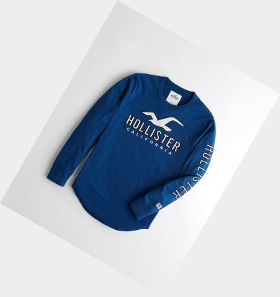 Blue Hollister Logo Men's Long Sleeve | ZA-GCMQ802