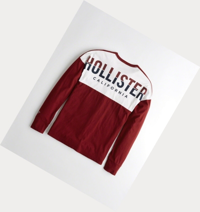 Burgundy Hollister Colorblock Logo Men's Long Sleeve | ZA-FZDU856