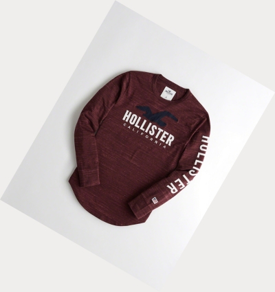 Burgundy Hollister Logo Men's Long Sleeve | ZA-RMQG583