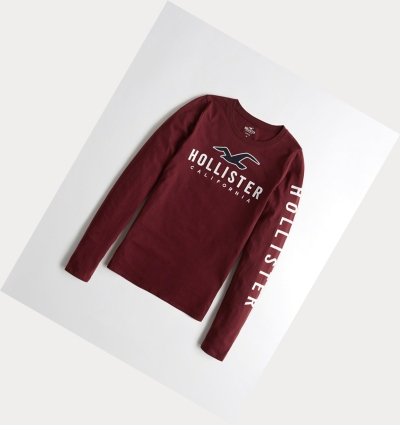 Burgundy Hollister Logo Women's Long Sleeve | ZA-CUFS035