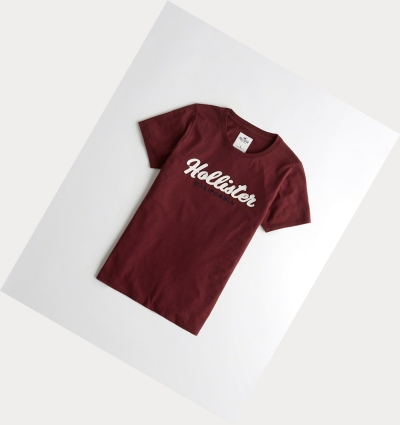 Burgundy Hollister Logo Women's Short Sleeve | ZA-ZIFN431