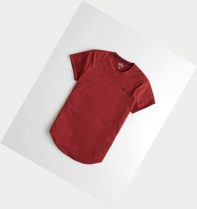 Burgundy Hollister Must-Have Curved Hem Men's Short Sleeve | ZA-JMEF680