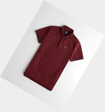 Burgundy Hollister Stretch Shrunken Collar Men's Polo Shirts | ZA-COYH465