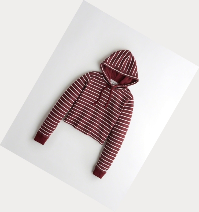 Burgundy Stripes Hollister Crop Women's Hoodie | ZA-BDTY362