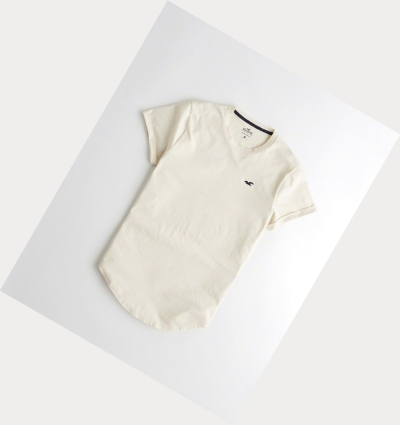 Cream Hollister Must-Have Curved Hem Men's Short Sleeve | ZA-MGXQ197