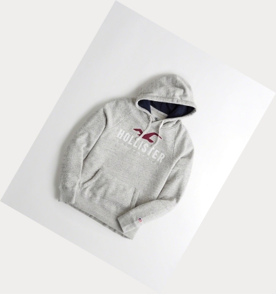 Grey Hollister Logo Graphic Men's Hoodie | ZA-VLBK743