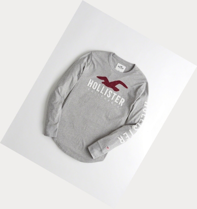 Grey Hollister Logo Men's Long Sleeve | ZA-JEWV042