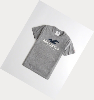 Grey Hollister Logo Men's Short Sleeve | ZA-CEXZ852