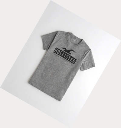 Grey Hollister Must-Have Crewneck Men's Short Sleeve | ZA-WAUQ738