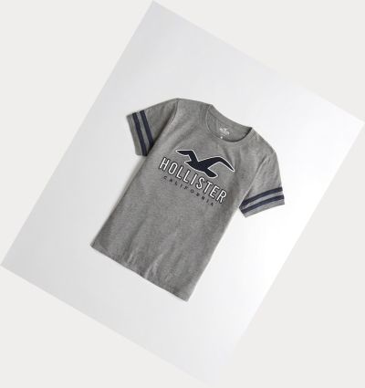 Grey Hollister Sleeve-Stripe Logo Women's Short Sleeve | ZA-QISX592