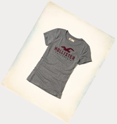 Grey Hollister Slim Crew Women's Short Sleeve | ZA-FNSY594