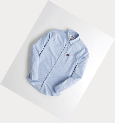 Light Blue Hollister Stretch Oxford Men's Long Sleeve | ZA-ZCDL751