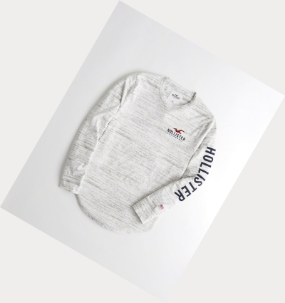 Light Grey Hollister Logo Men's Long Sleeve | ZA-NZHG450