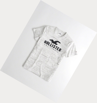 Light Grey Hollister Logo Men's Short Sleeve | ZA-DQOV496