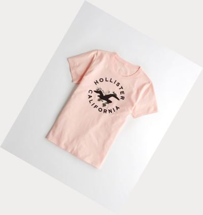 Light Pink Hollister Floral Embroidered Women's Short Sleeve | ZA-CKDF378