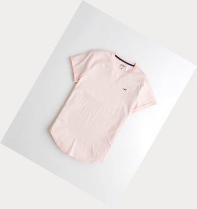 Light Pink Hollister Must-Have Curved Hem Men's Short Sleeve | ZA-MVYX801