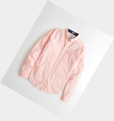 Light Pink Hollister Stretch Oxford Men's Long Sleeve | ZA-SFGX738