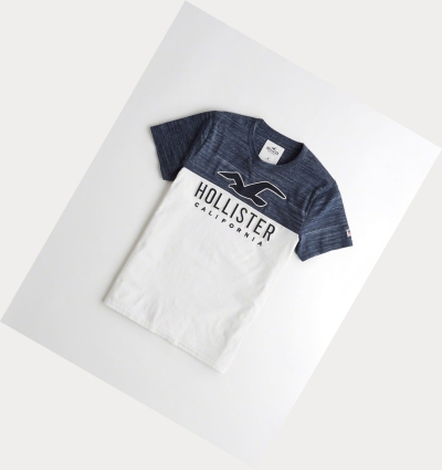 Navy Hollister Logo Men's Short Sleeve | ZA-BJDM567