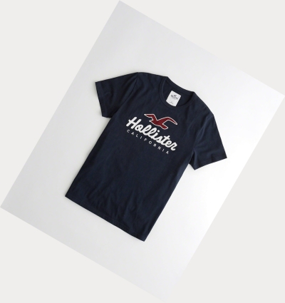 Navy Hollister Logo Men's Short Sleeve | ZA-TMYD710