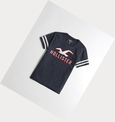 Navy Hollister Sleeve-Stripe Logo Women's Short Sleeve | ZA-PMIS824