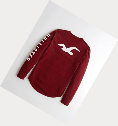 Red Hollister Logo Men's Long Sleeve | ZA-BHLV690