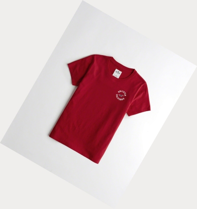 Red Hollister Print Logo Women's Short Sleeve | ZA-YMRJ892