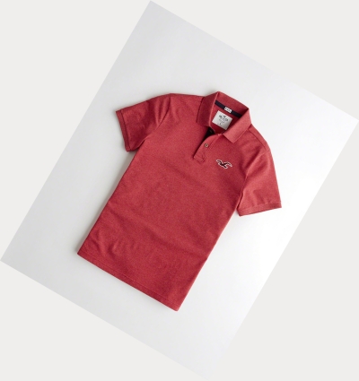 Hollister Stretch Icon Polo: Buy Online at Best Price in Egypt
