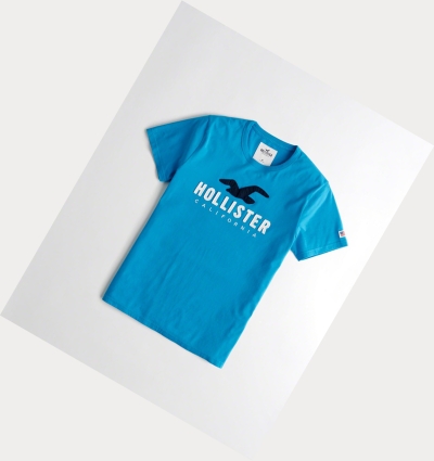 Turquoise Hollister Logo Men's Short Sleeve | ZA-JVAC135