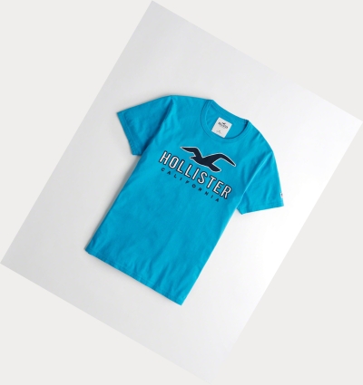 Turquoise Hollister Logo Men's Short Sleeve | ZA-RSBC670