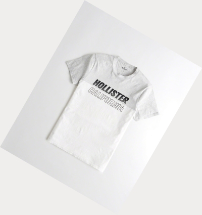 White Hollister Colorblock Logo Men's Short Sleeve | ZA-CBQS845