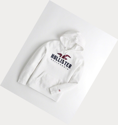 White Hollister Logo Graphic Men's Hoodie | ZA-SJOE923