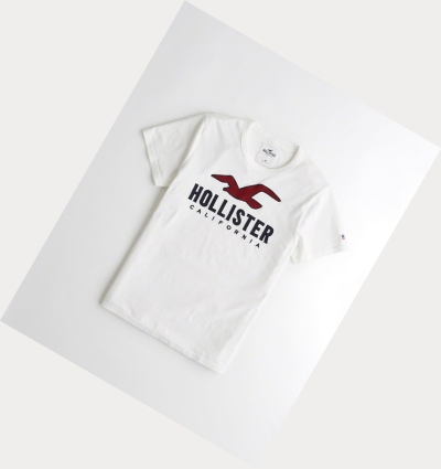 White Hollister Logo Men's Short Sleeve | ZA-AITN795