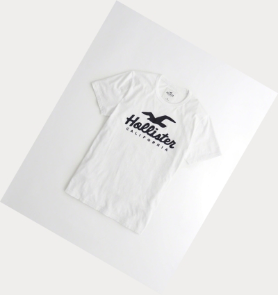 White Hollister Logo Men's Short Sleeve | ZA-DOUL628