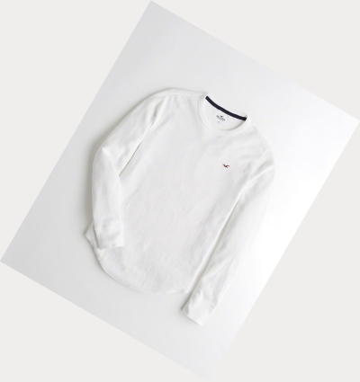 White Hollister Waffle Curved Hem Men's Long Sleeve | ZA-MIWL601