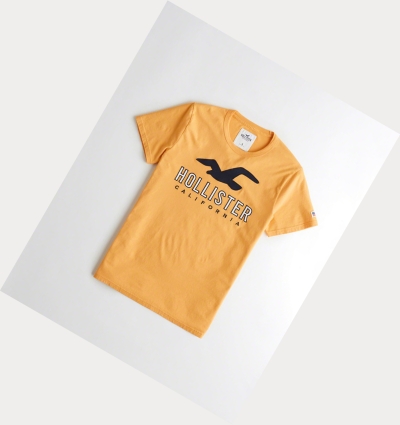 Yellow Hollister Logo Men's Short Sleeve | ZA-ZTAP270