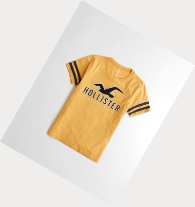 Yellow Hollister Sleeve-Stripe Logo Women's Short Sleeve | ZA-PFVM274