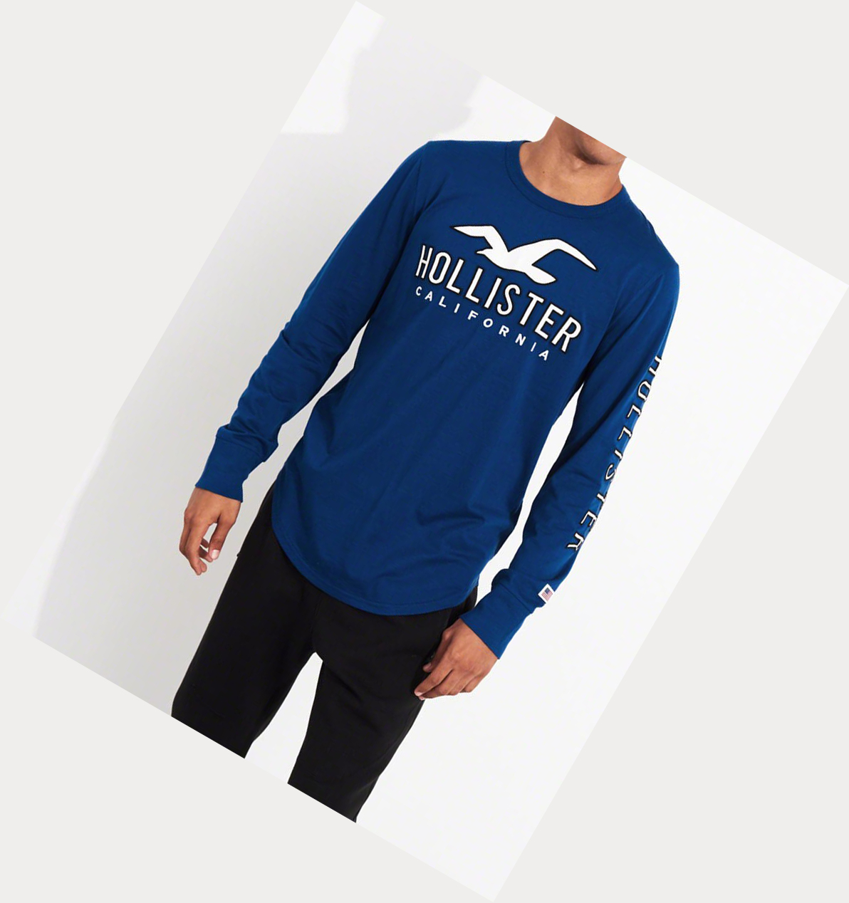 Blue Hollister Logo Men's Long Sleeve | ZA-GCMQ802