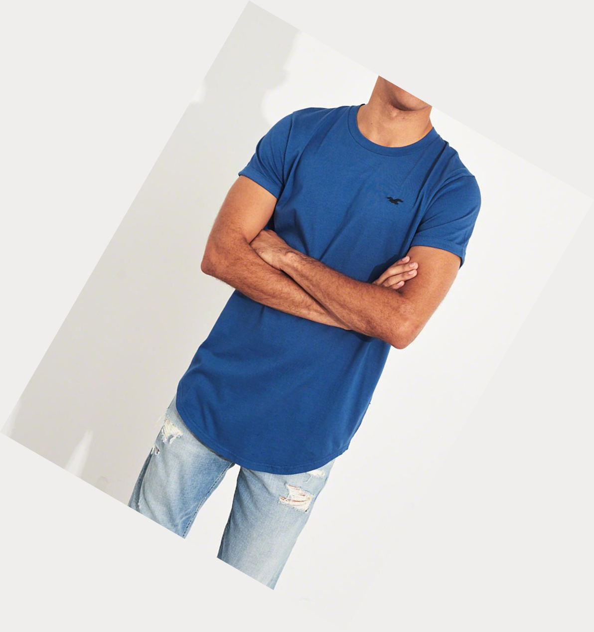 Blue Hollister Must-Have Curved Hem Men's Short Sleeve | ZA-JVSN362