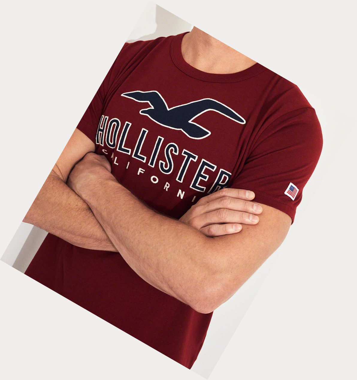 Burgundy Hollister Logo Men's Short Sleeve | ZA-LZEQ397