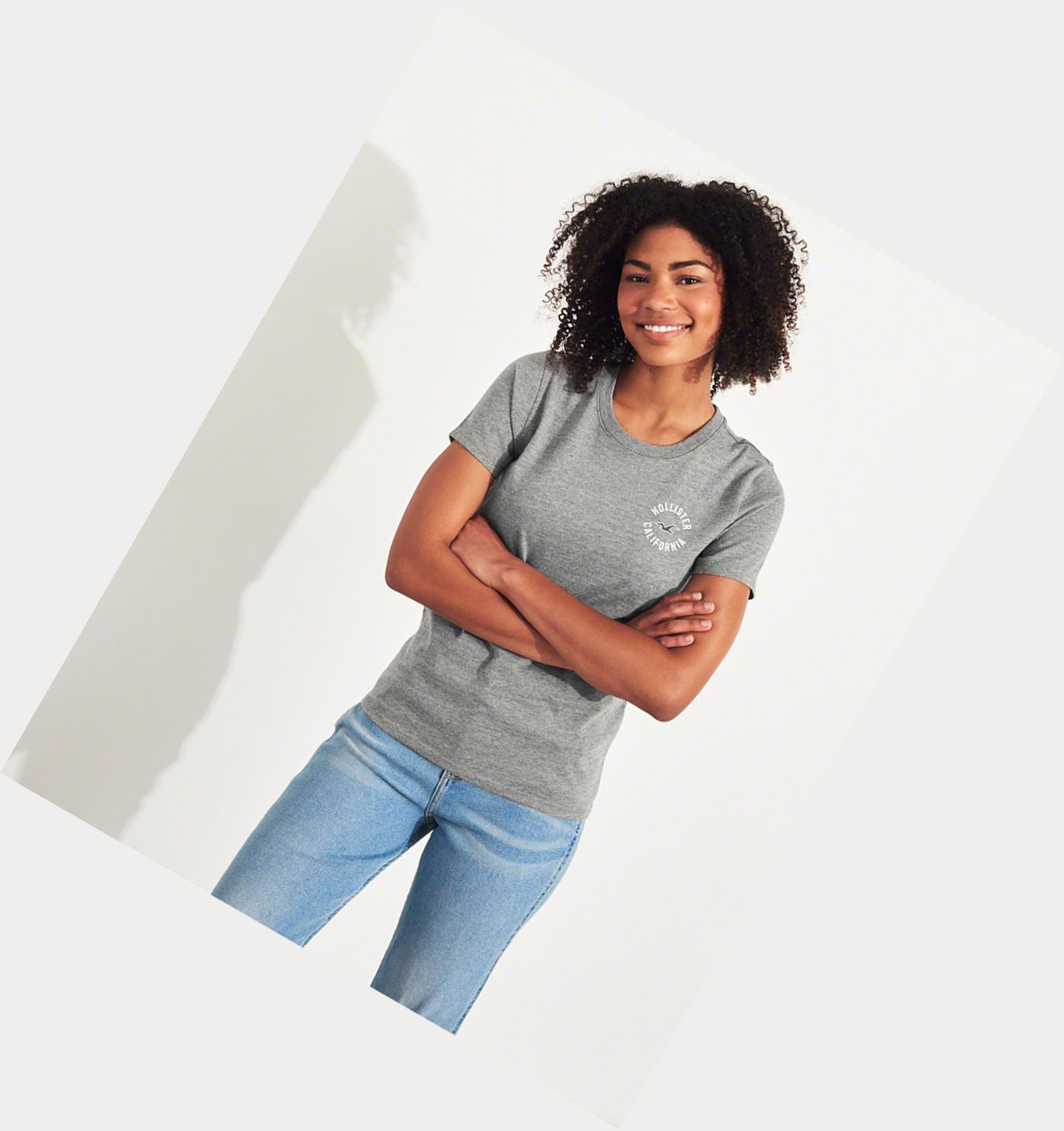 Grey Hollister Print Logo Women's Short Sleeve | ZA-IVPY793