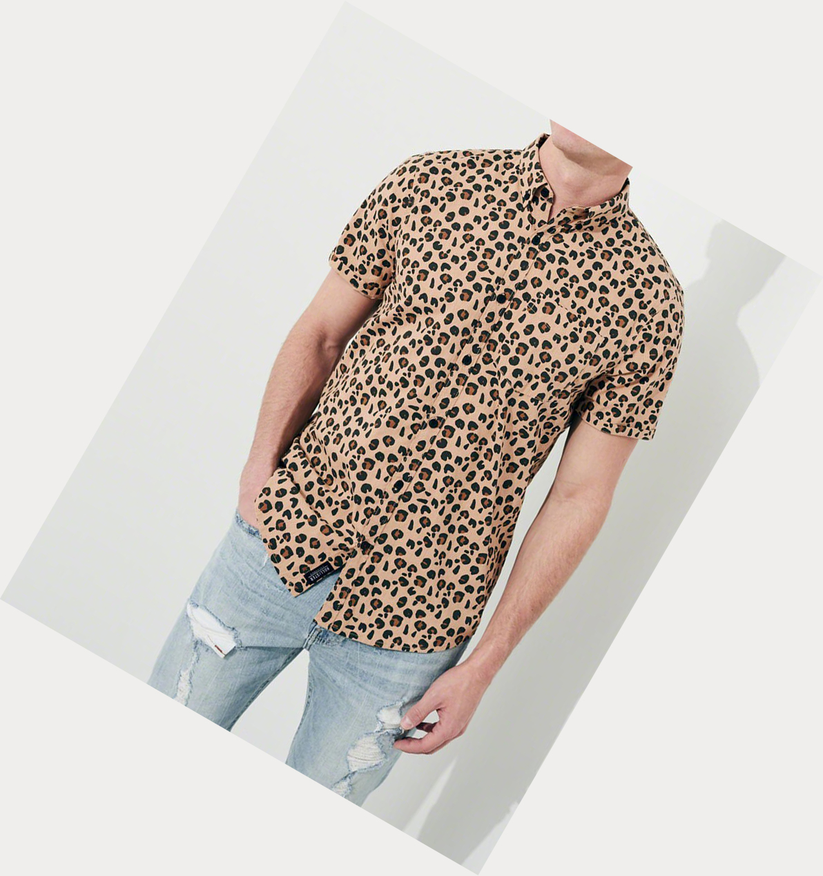 Leopard Hollister Stretch Leopard Poplin Men's Short Sleeve | ZA-LIPW605