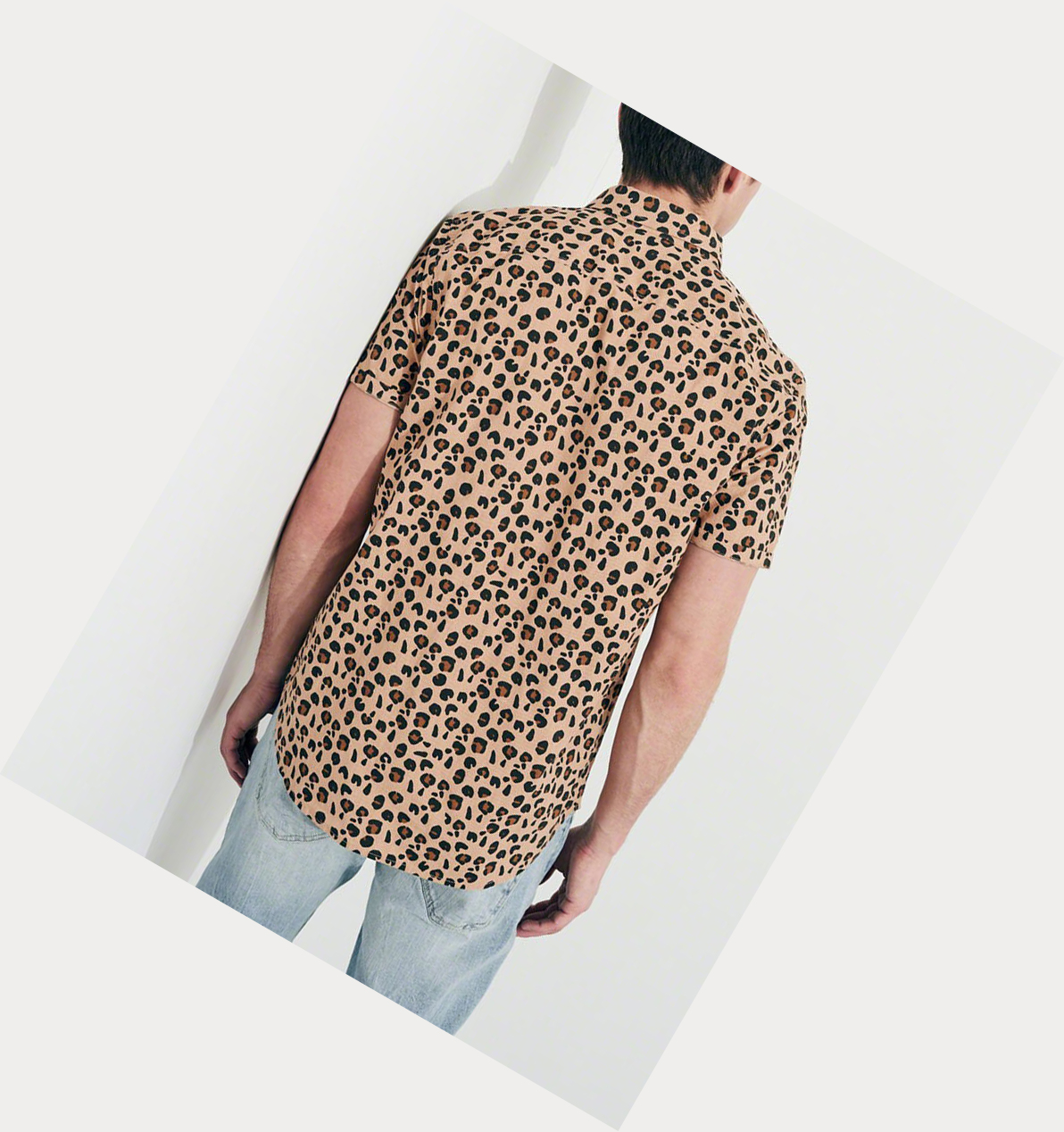 Leopard Hollister Stretch Leopard Poplin Men's Short Sleeve | ZA-LIPW605