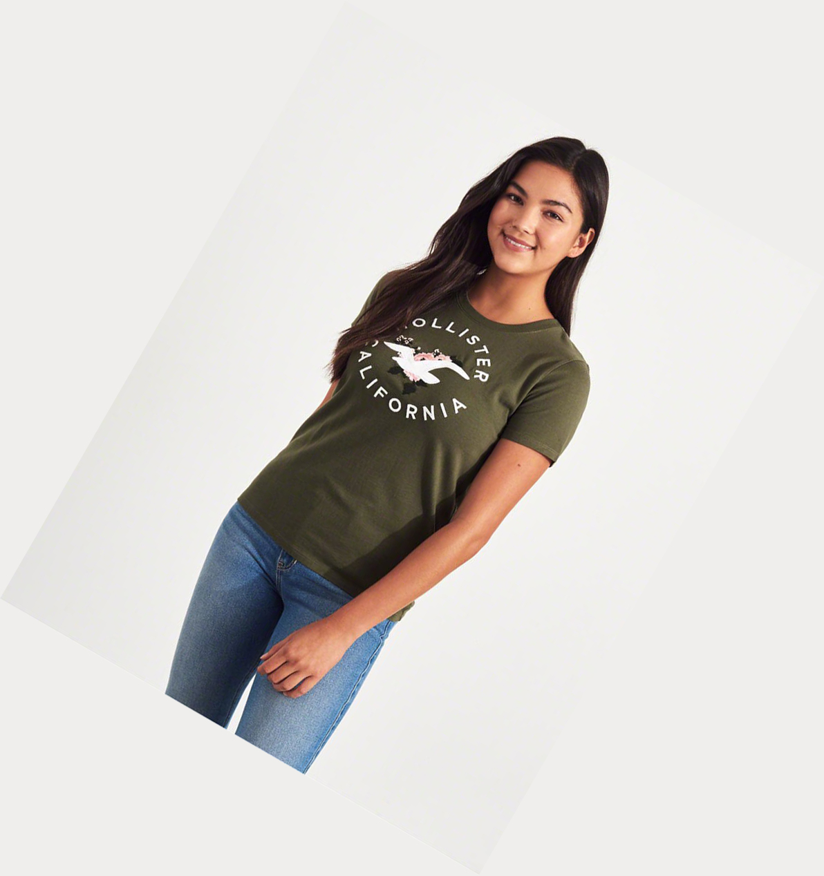 Olive Hollister Floral Embroidered Women's Short Sleeve | ZA-VYQJ631