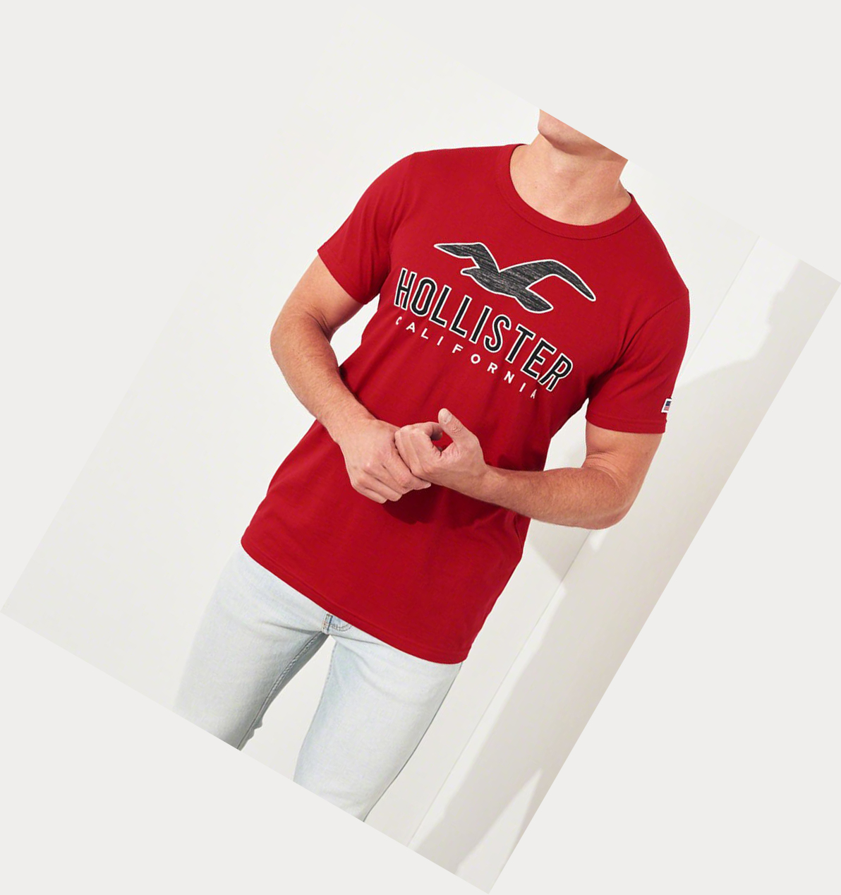 Red Hollister Logo Men's Short Sleeve | ZA-CPBW173