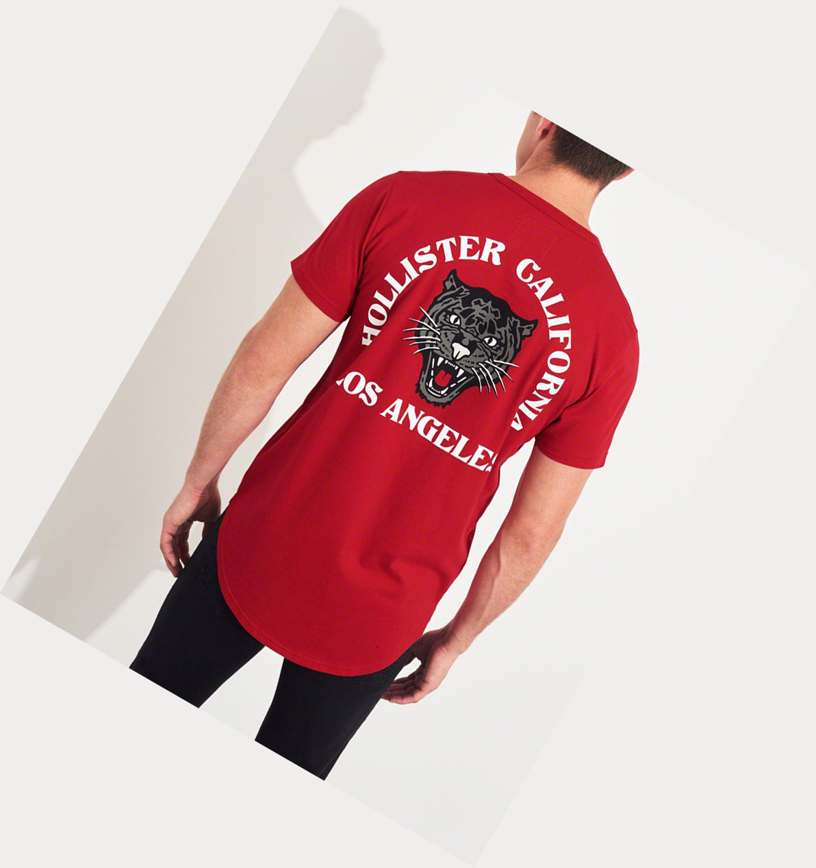 Red Hollister Panther Logo Men's Short Sleeve | ZA-YDGA873