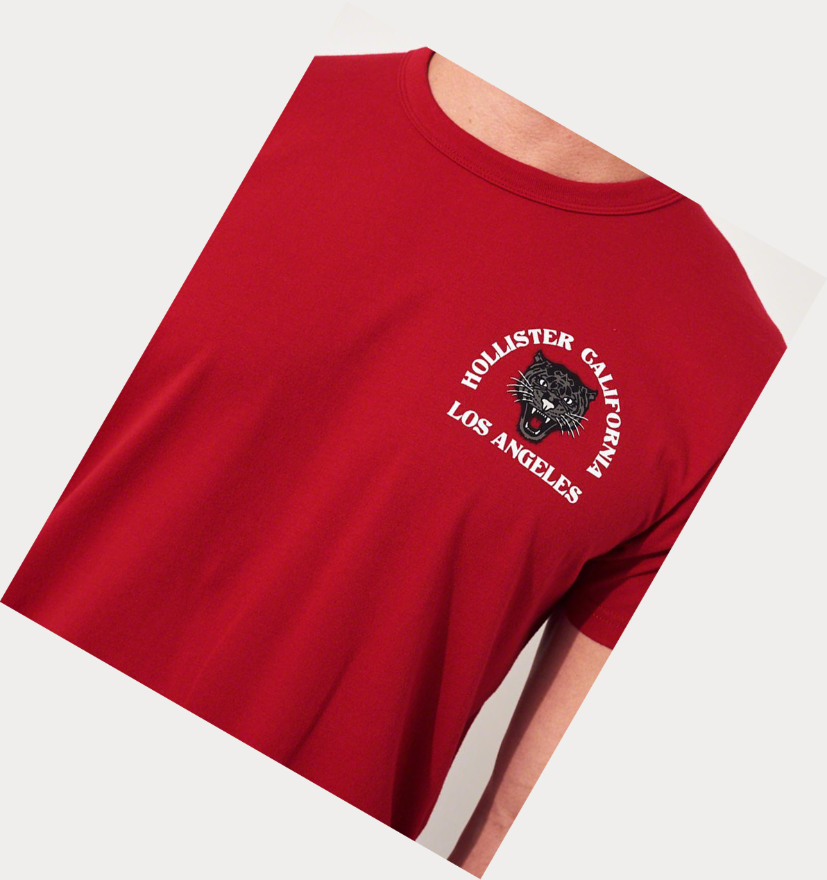 Red Hollister Panther Logo Men's Short Sleeve | ZA-YDGA873