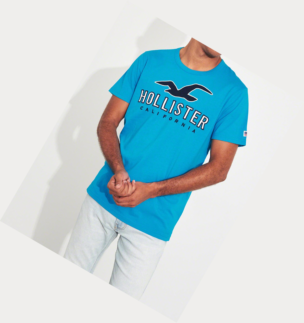 Turquoise Hollister Logo Men's Short Sleeve | ZA-RSBC670