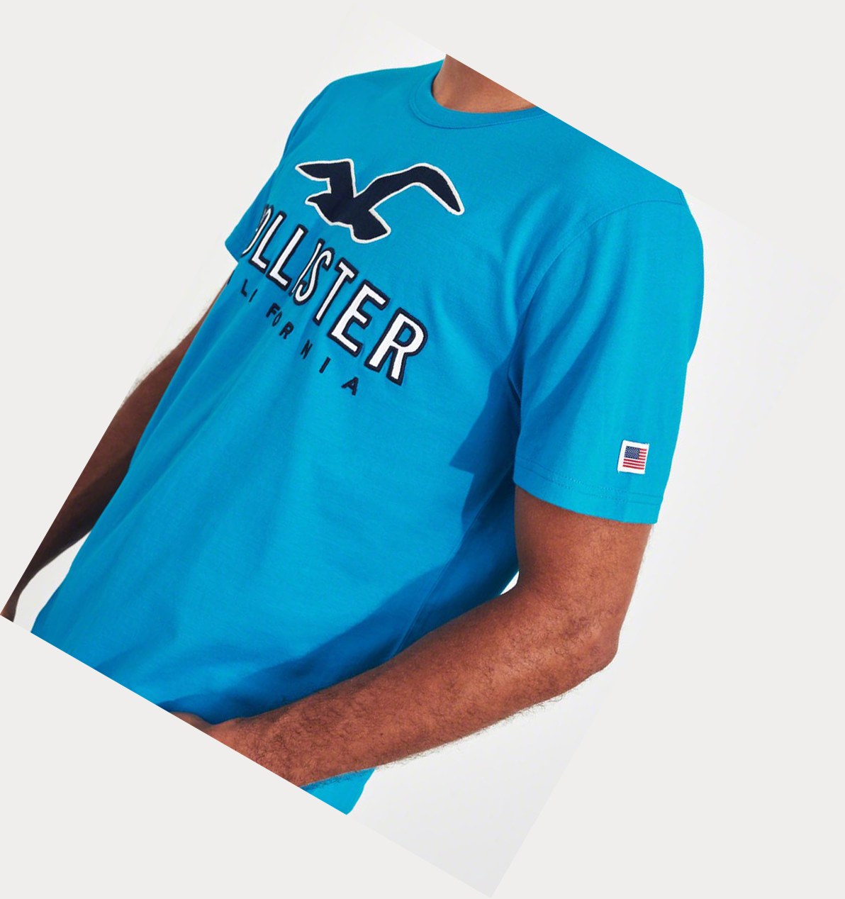 Turquoise Hollister Logo Men's Short Sleeve | ZA-RSBC670